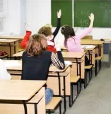cat_classroom cat_classroom