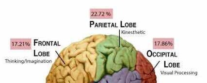 brain-o-graphic brain-o-graphic