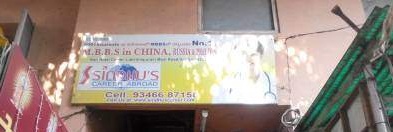 sindhus-career