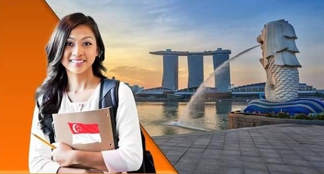 eduspark-educational