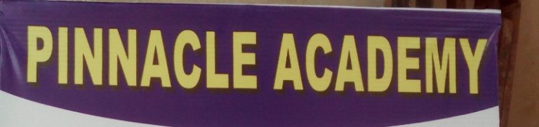 pinnacle-academy