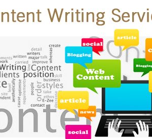 Profile Writing Services