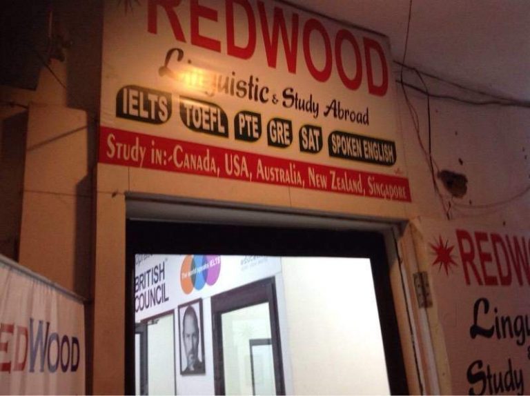 redwood