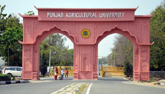 AGRICULTURE
