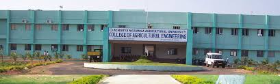 COLLEGE COLLEGE