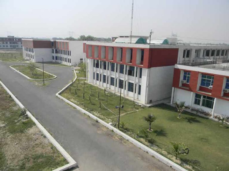 LDC